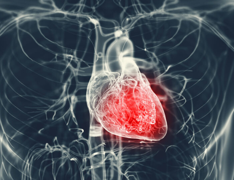 綾瀬亀有ロハス歯科＆矯正歯科の歯周病治療